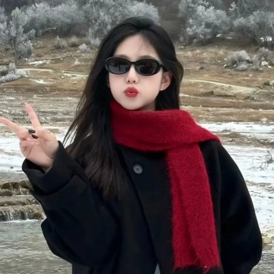 决战燕子门